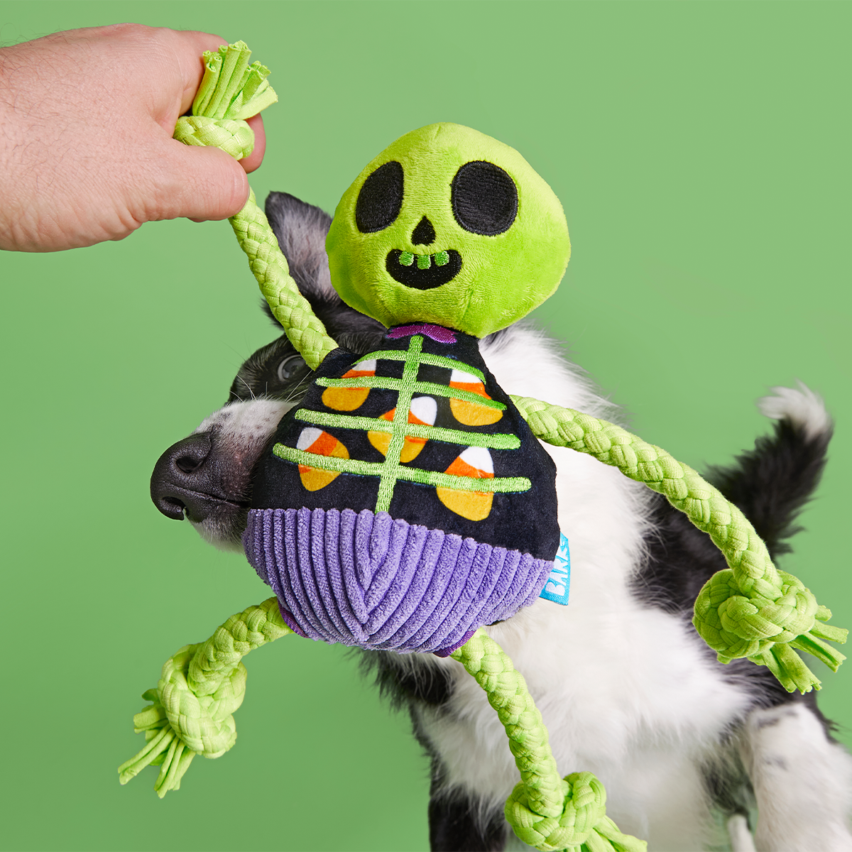 Moldy Barry Bones Plush Tug Dog Toy - Image 5
