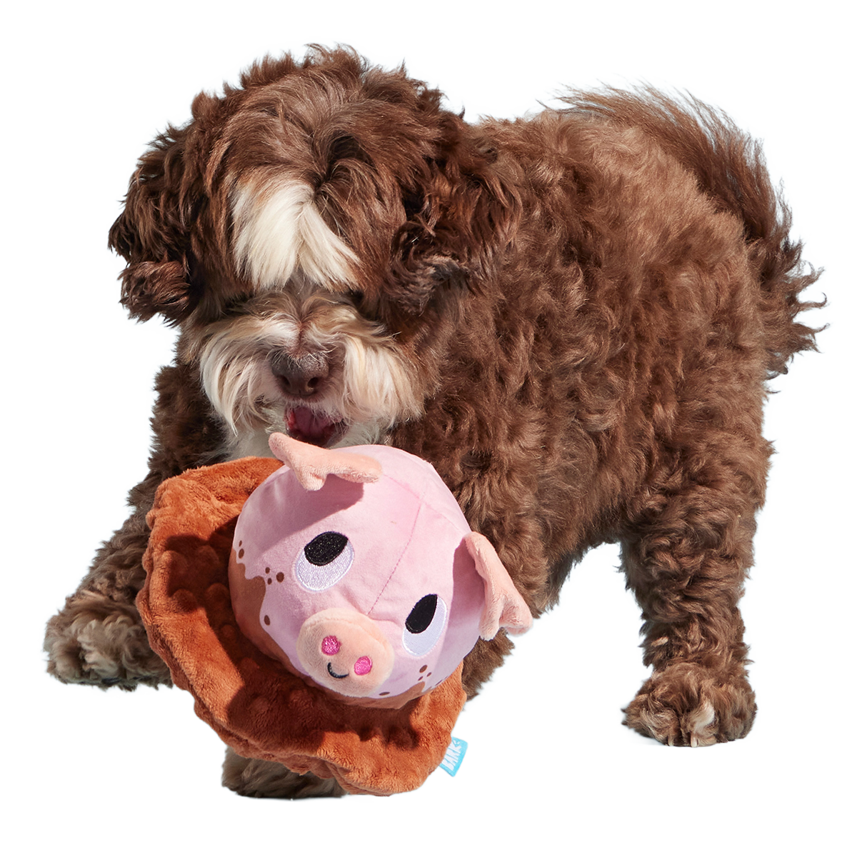 Muddy Maude Plush Fetch Dog Toy - Image 5