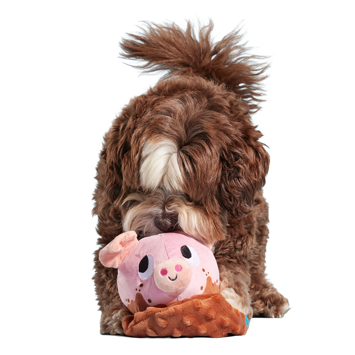 Muddy Maude Plush Fetch Dog Toy - Image 3