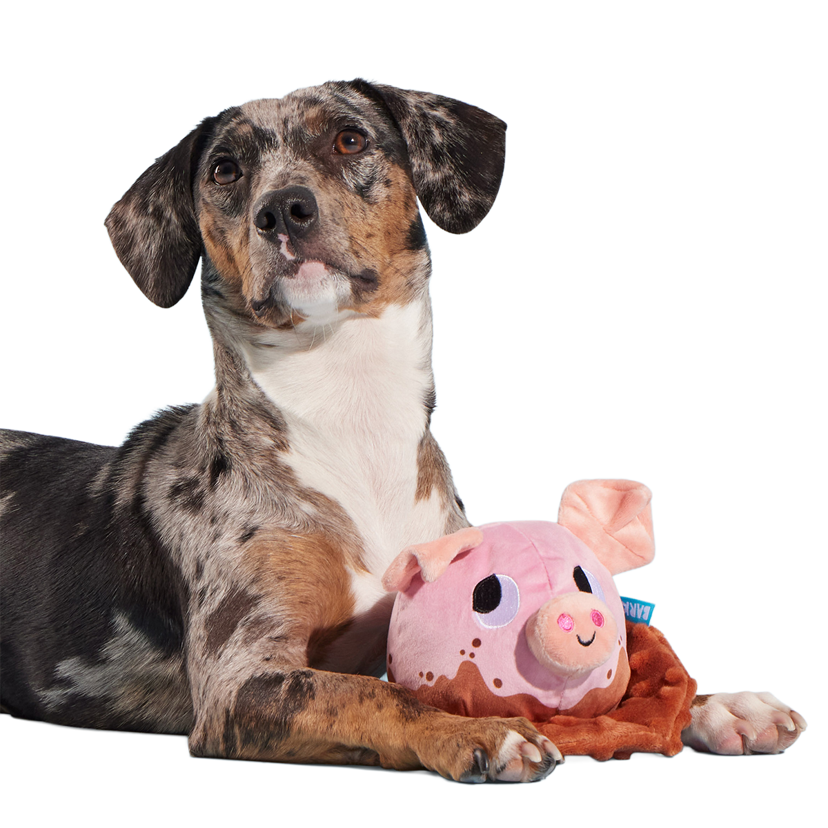 Muddy Maude Plush Fetch Dog Toy - Image 4