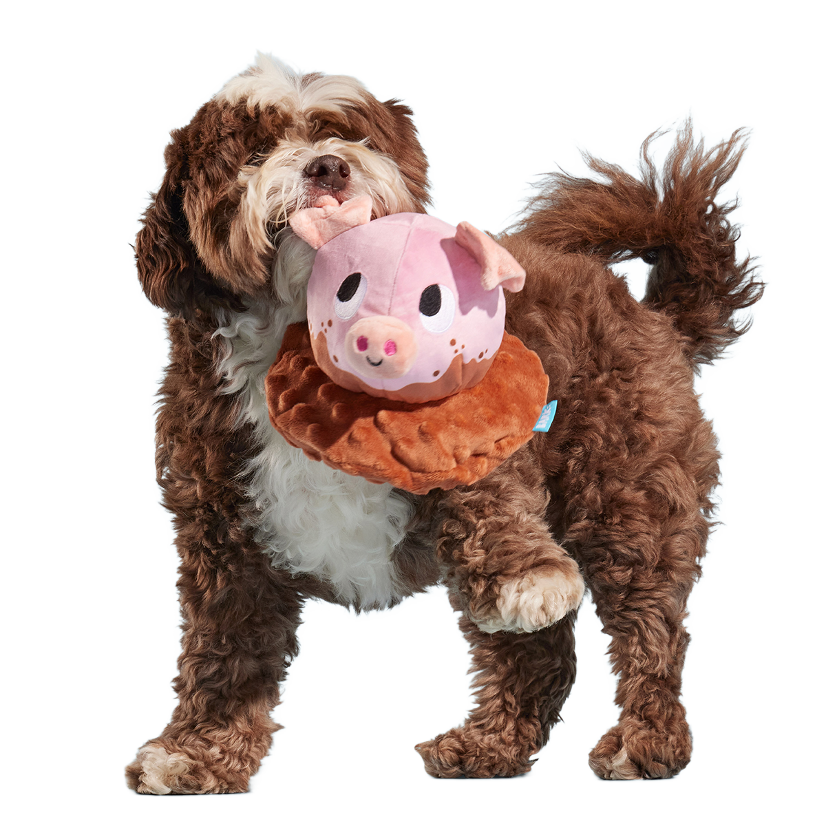 Muddy Maude Plush Fetch Dog Toy - Image 2
