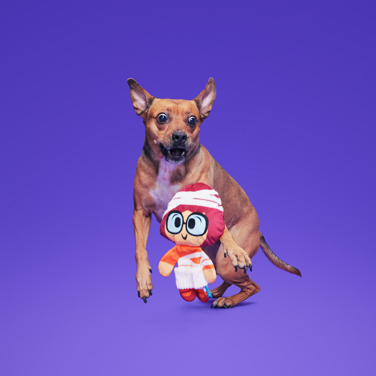 Mummy Velma™ Plush Tug Dog Toy - Image 4