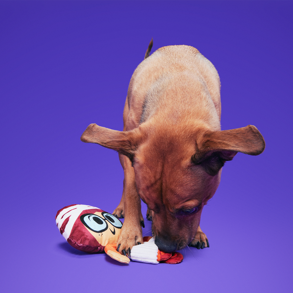 Mummy Velma™ Plush Tug Dog Toy - Image 3