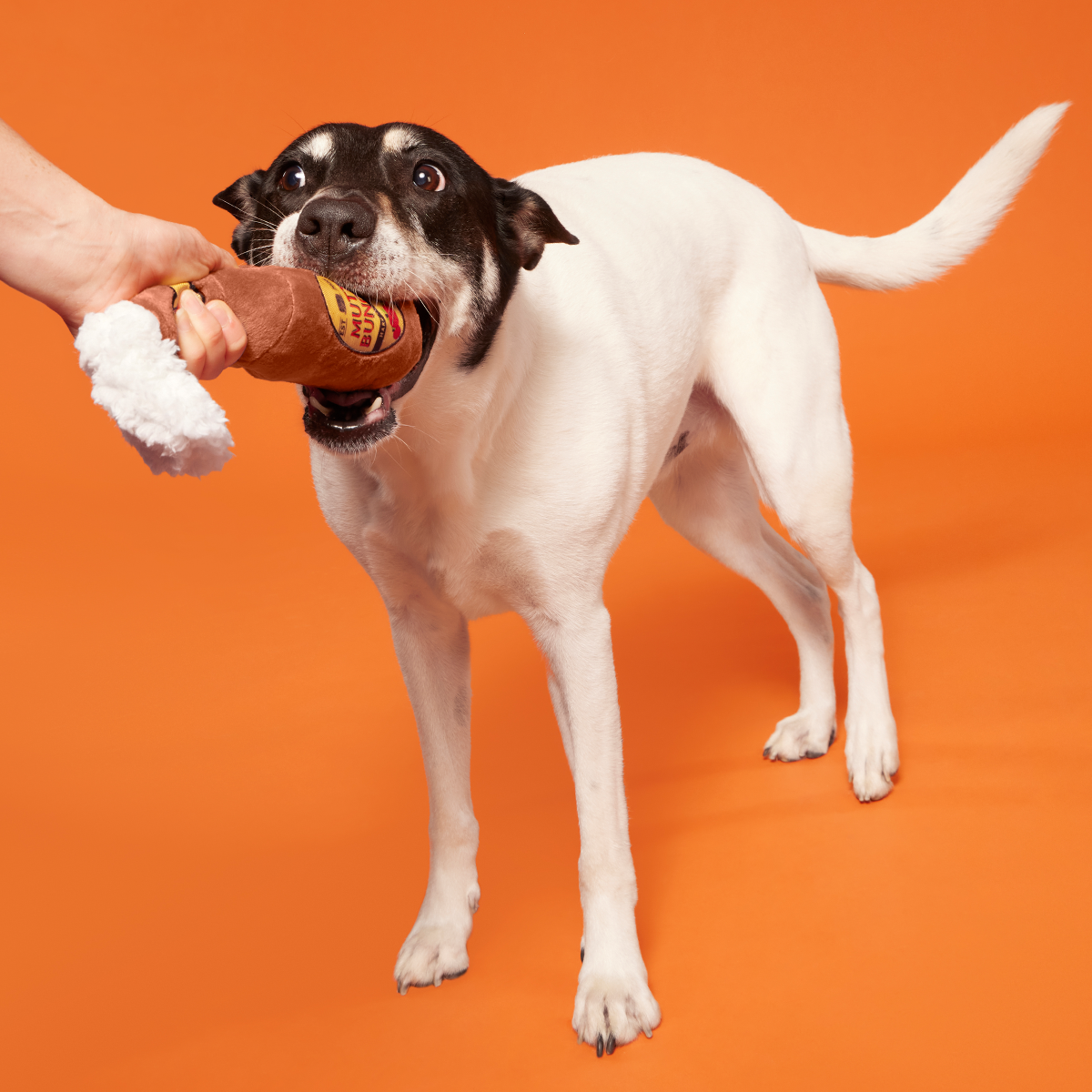 Mutt Bunch Hard Cider Plush Tug Dog Toy - Image 3