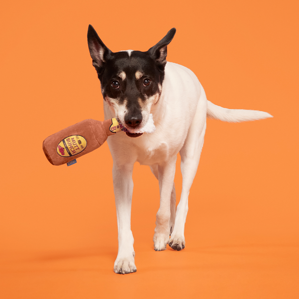Mutt Bunch Hard Cider Plush Tug Dog Toy - Image 5