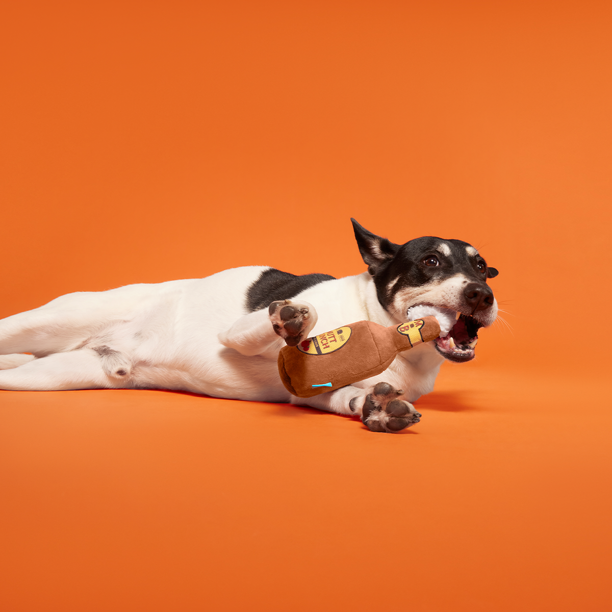 Mutt Bunch Hard Cider Plush Tug Dog Toy - Image 4