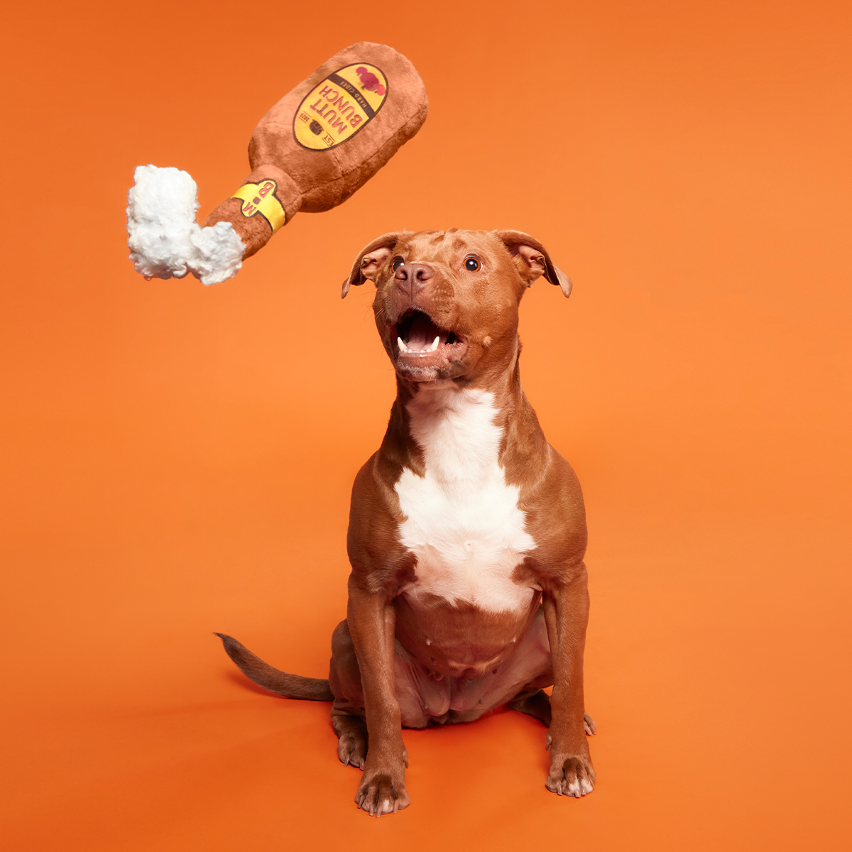 Mutt Bunch Hard Cider Plush Tug Dog Toy - Image 2