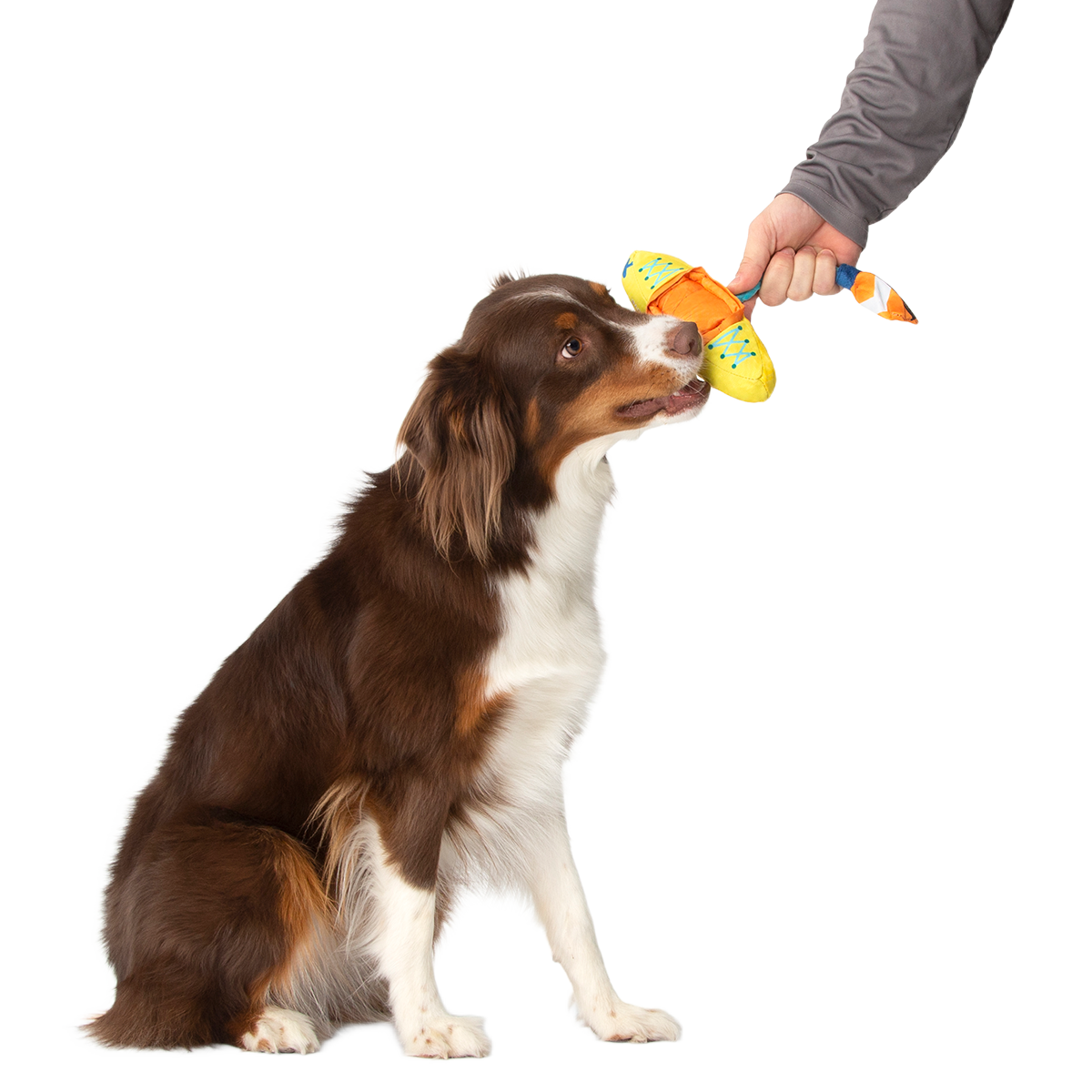 Off Track Kayak Plush Tug Dog Toy - Image 2