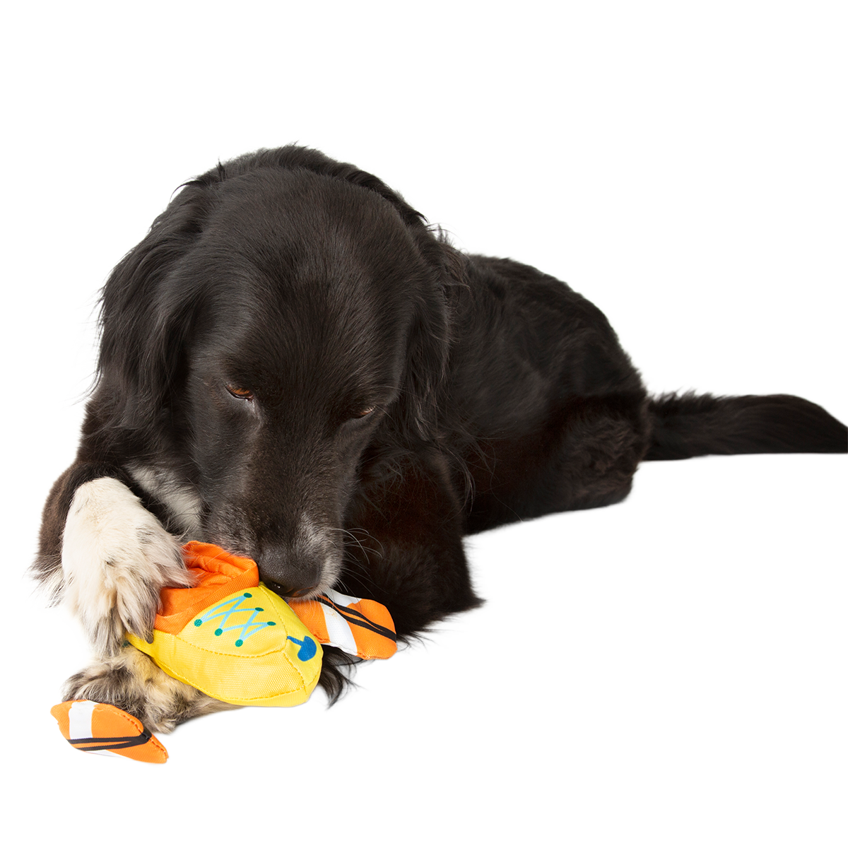 Off Track Kayak Plush Tug Dog Toy - Image 4