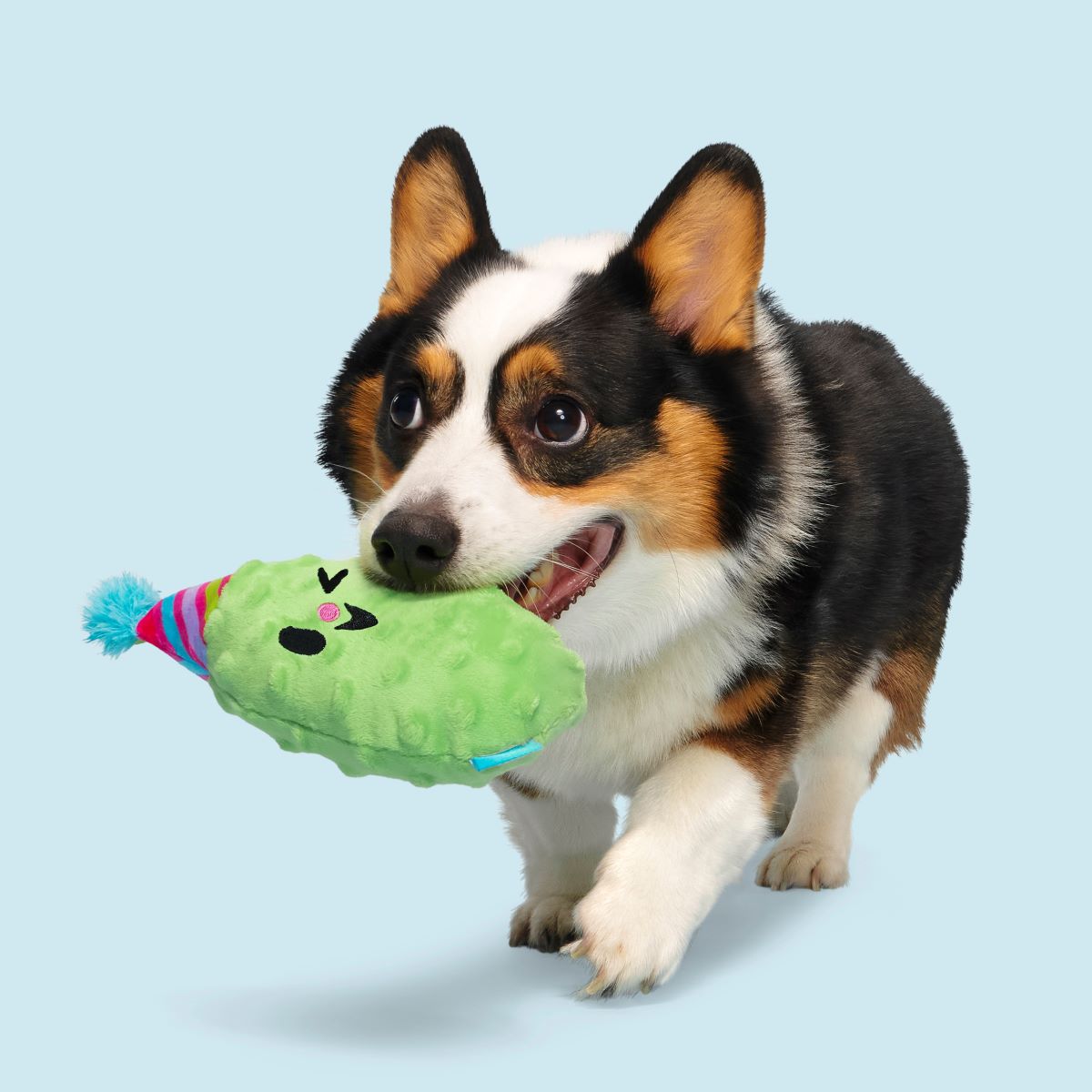 Party Pickle Pedro Plush Tug Dog Toy - Image 3