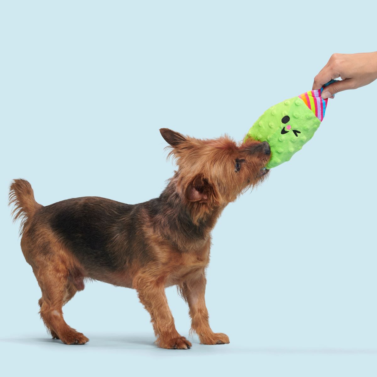 Party Pickle Pedro Plush Tug Dog Toy - Image 4
