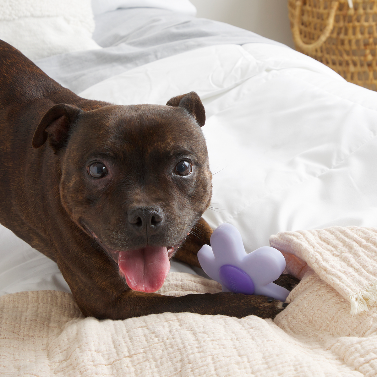 Power Flower Super Chewer Durable Gnaw Dog Toy - Image 4