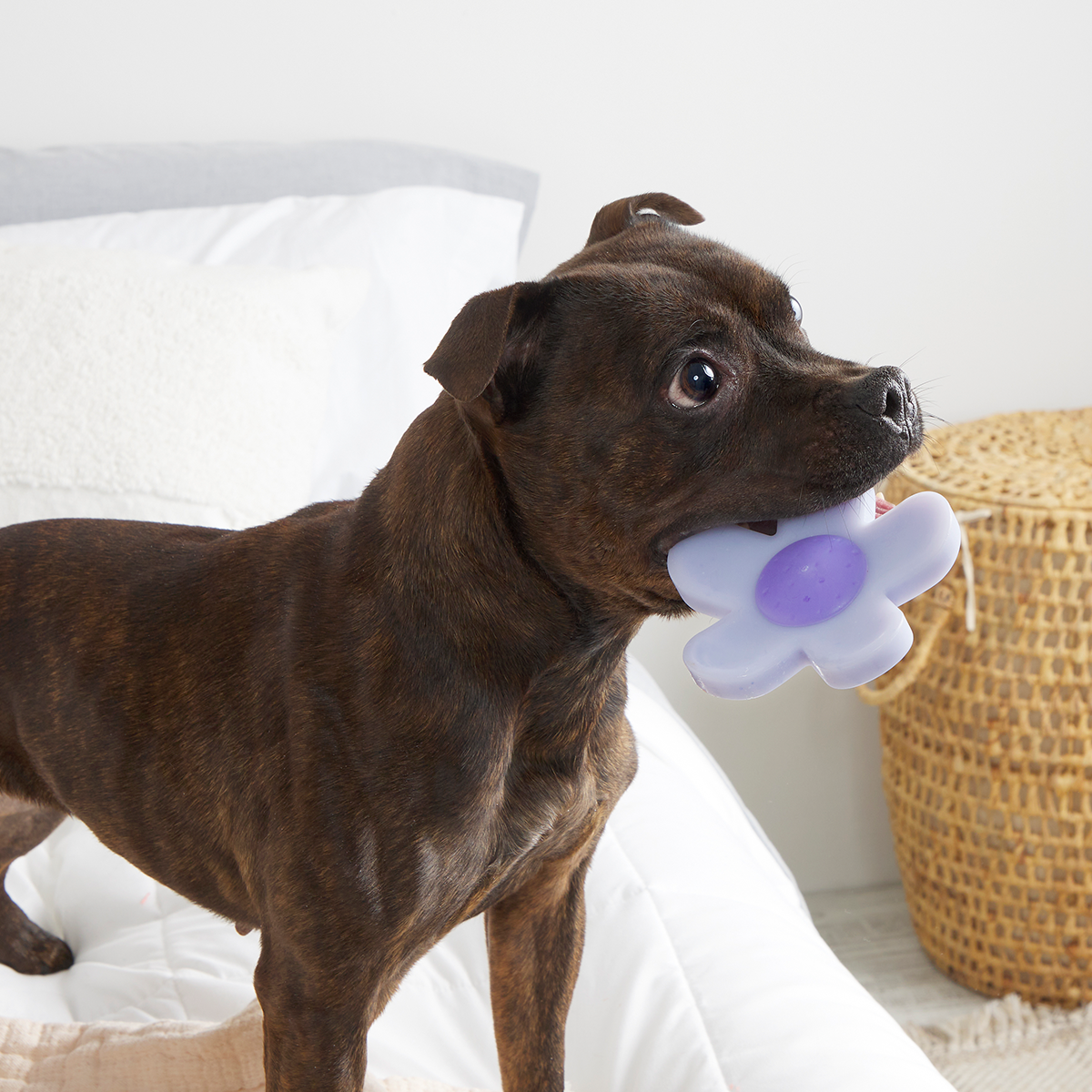 Power Flower Super Chewer Durable Gnaw Dog Toy - Image 5