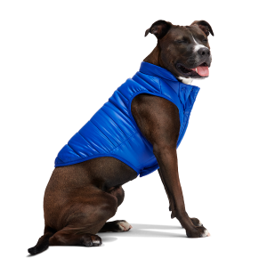 Puffer Dog Vest