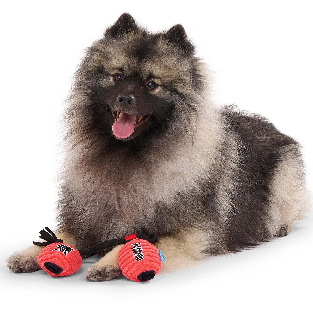 Pupper Lanterns Plush Tug Dog Toy - Image 2