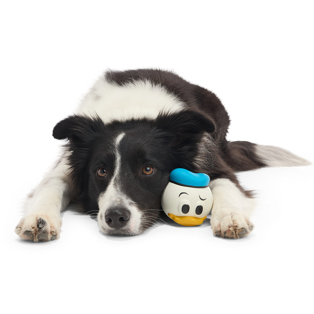 Quack Attack Donald Super Chewer Durable Fetch Dog Toy - Image 4
