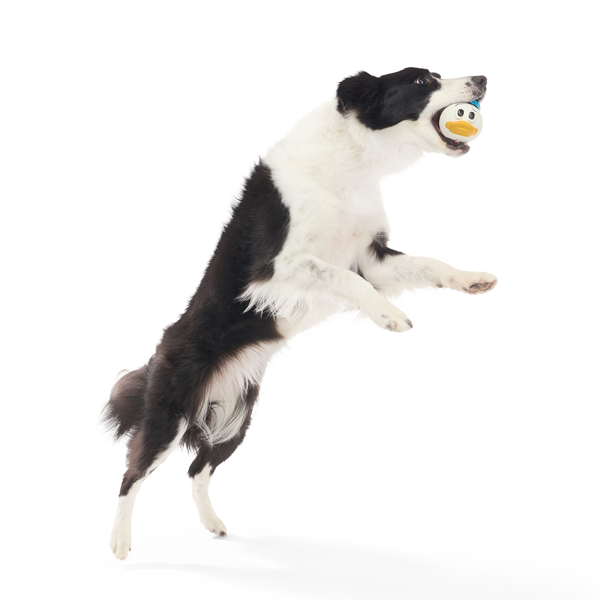 Quack Attack Donald Super Chewer Durable Fetch Dog Toy - Image 3