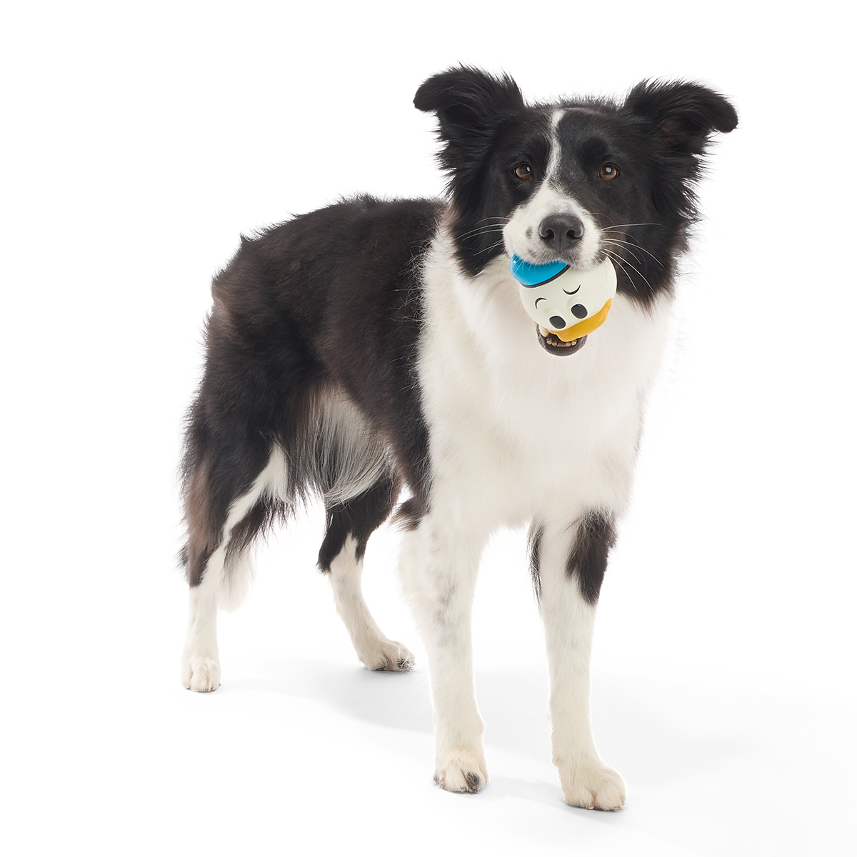 Quack Attack Donald Super Chewer Durable Fetch Dog Toy - Image 2