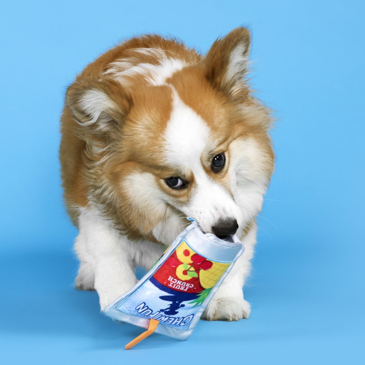 Juice Pooch Plush Tug Dog Toy - Image 2