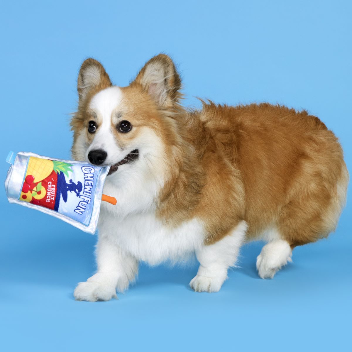 Juice Pooch Plush Tug Dog Toy - Image 3