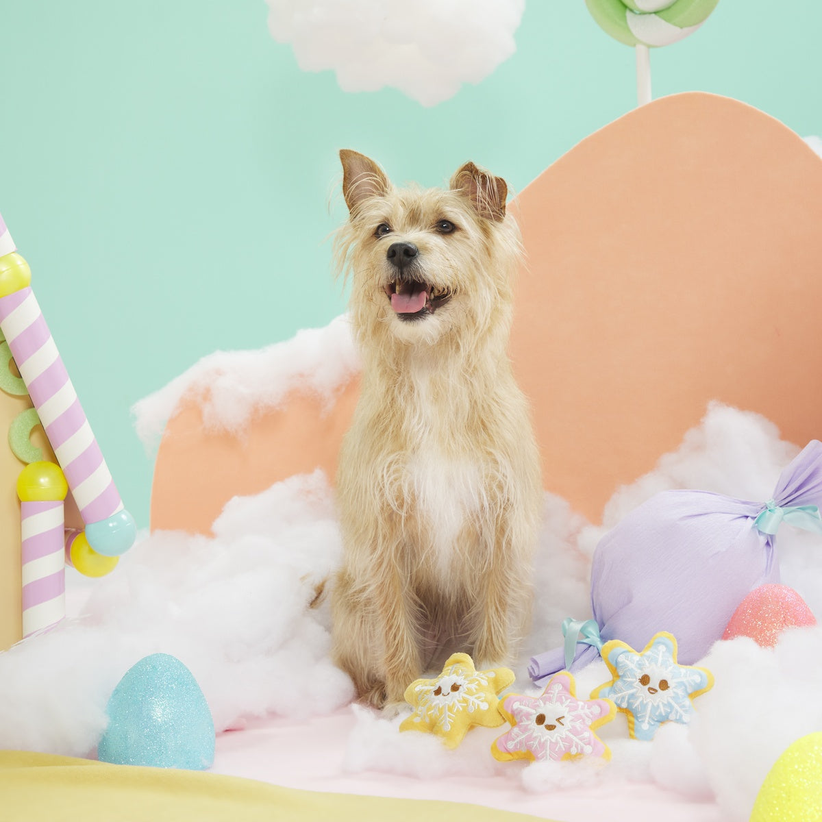 Flake N' Bake Cookies Plush Multi-Part Dog Toy - Image 3