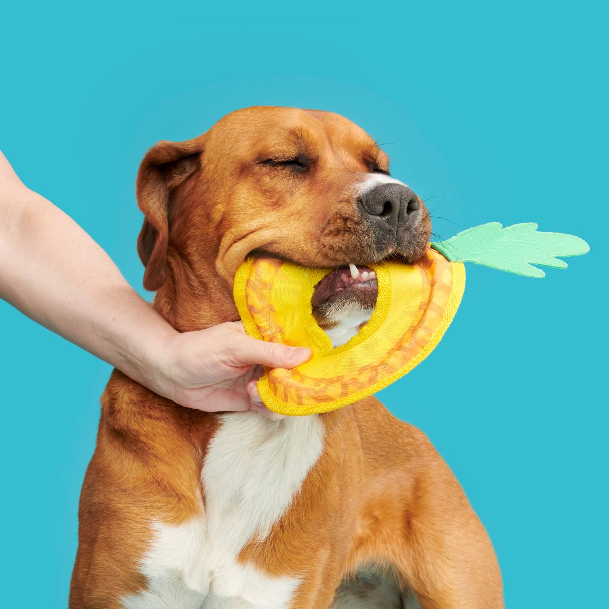 Pineapple Fling Plush Tug + Fetch Dog Toy - Image 3