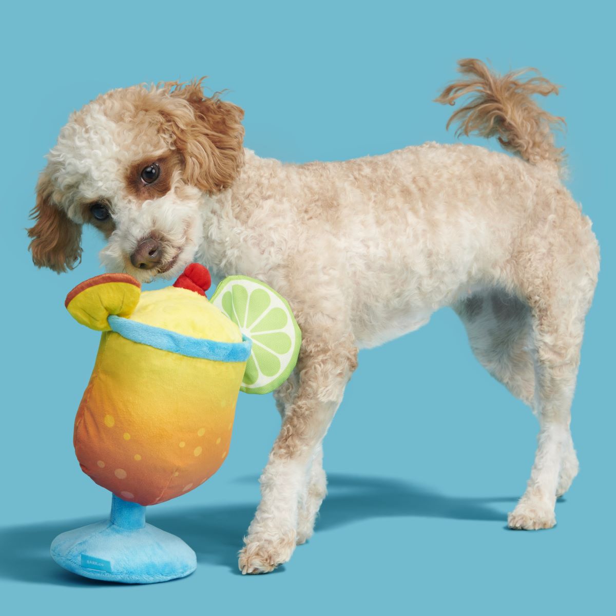 Mai Tail Plush Tug Dog Toy - Image 3