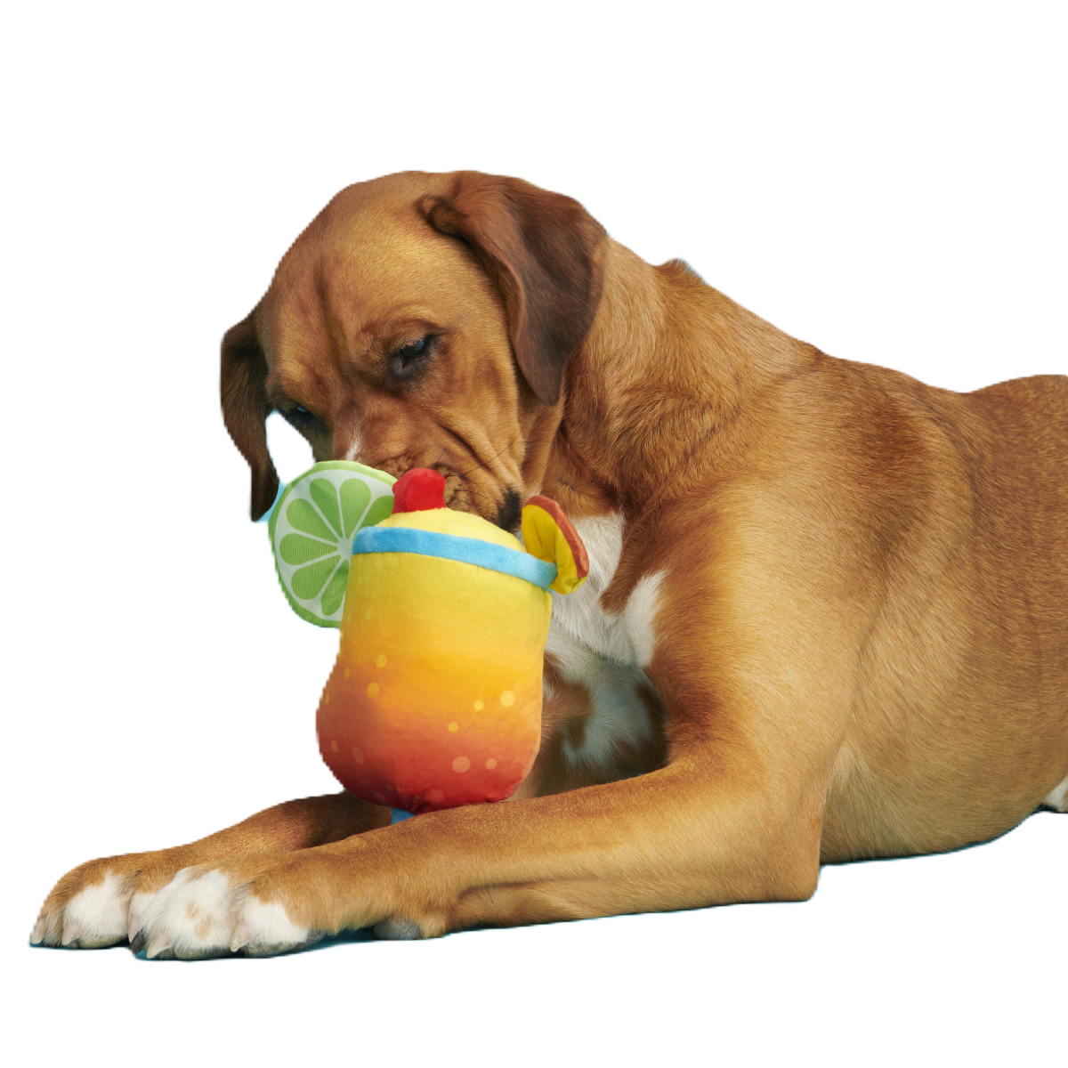 Mai Tail Plush Tug Dog Toy - Image 2