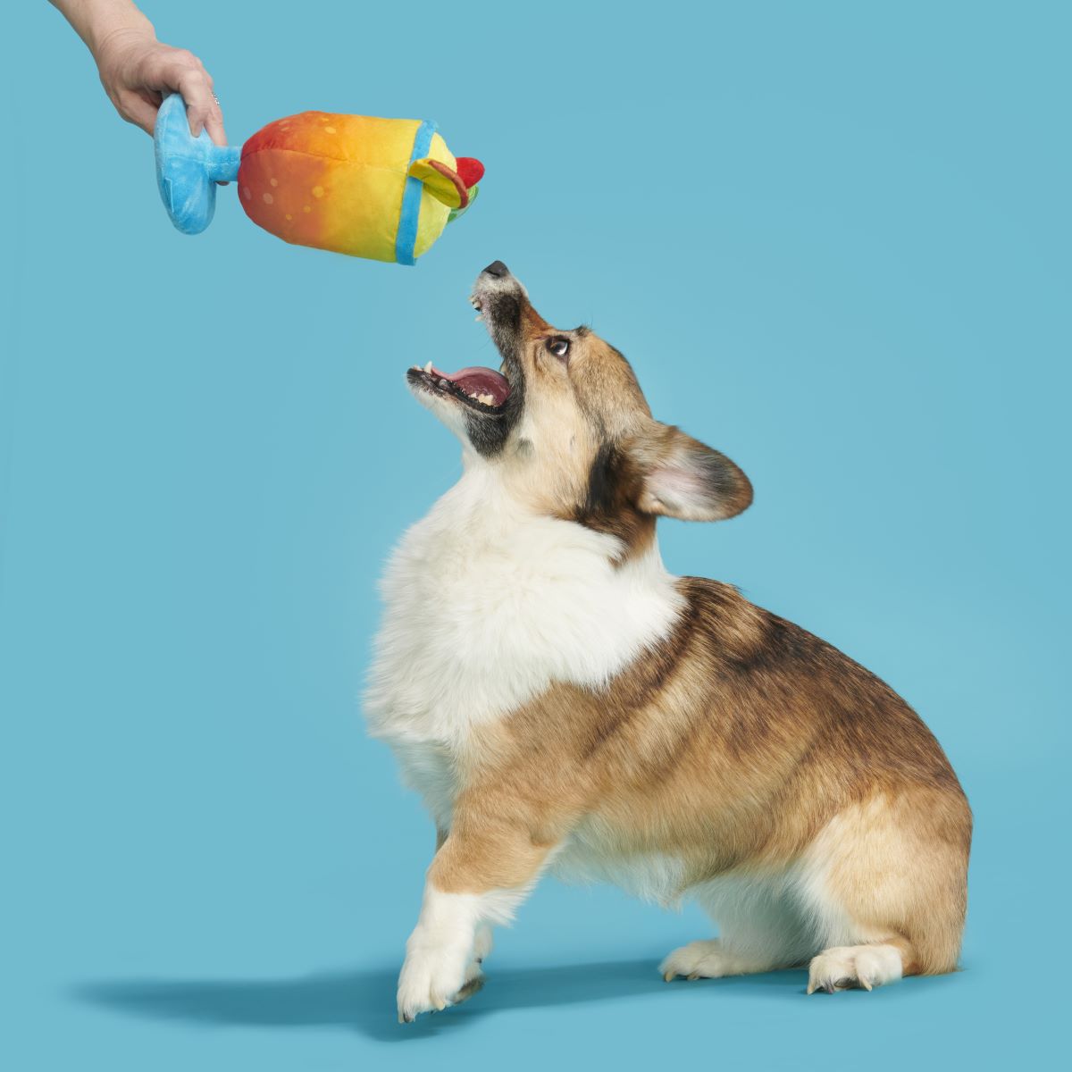 Mai Tail Plush Tug Dog Toy - Image 5