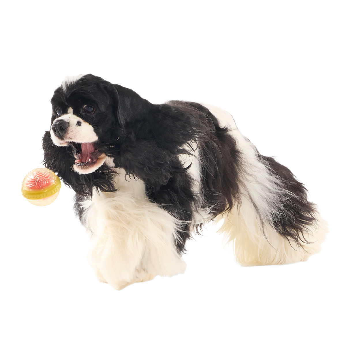 Remembrall™ Super Chewer Durable Fetch Dog Toy - Image 4