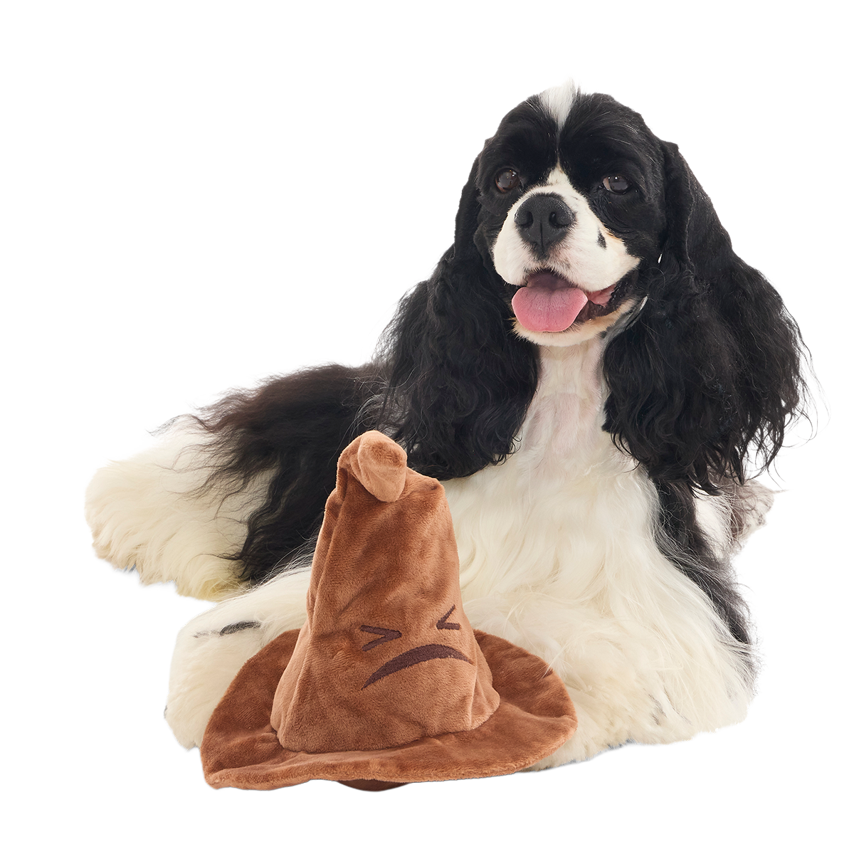 The Sorting Hat™ Plush 2-in-1 + Fetch Dog Toy - Image 14