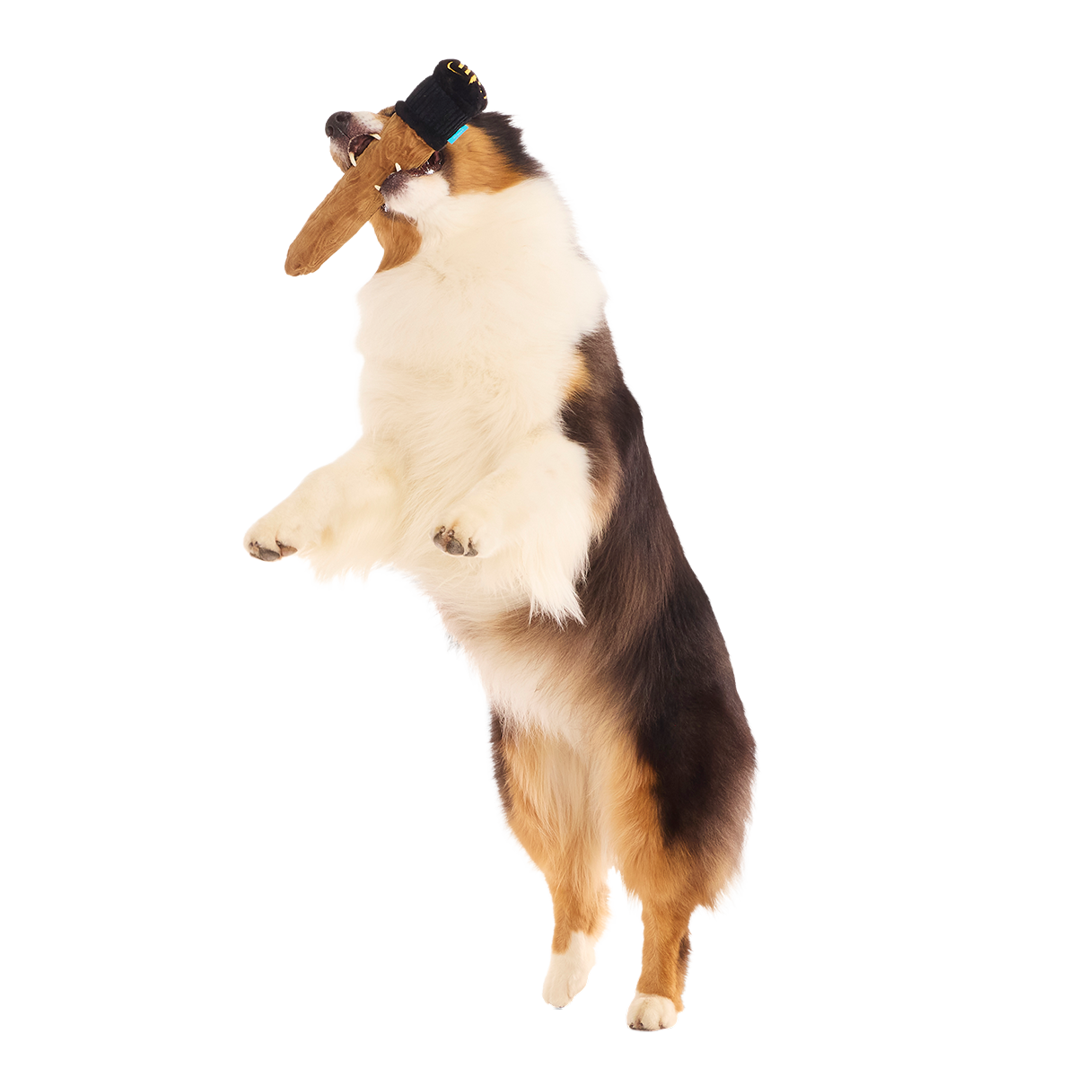 Spellbinding Wand™ Plush Tug Dog Toy - Image 4