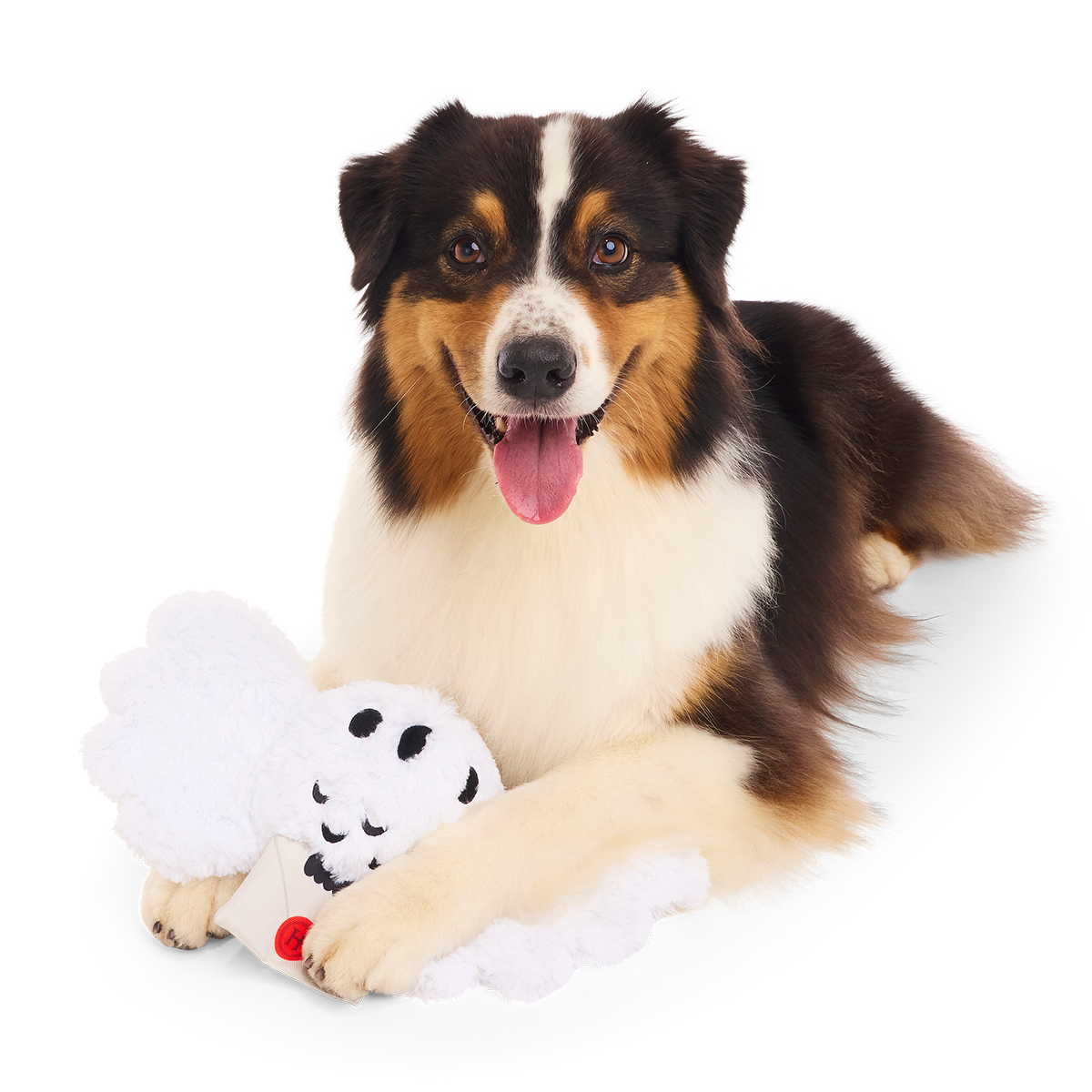 Hedwig™ Plush Tug Dog Toy - Image 7