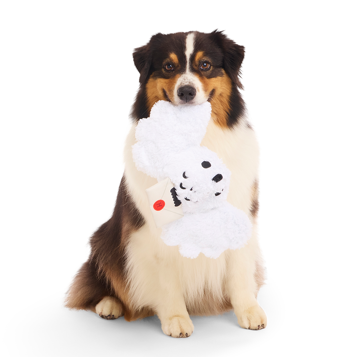 Hedwig™ Plush Tug Dog Toy - Image 6