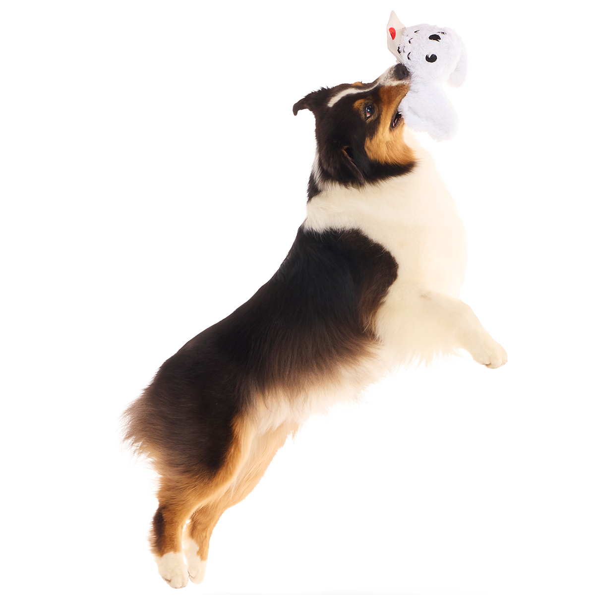Hedwig™ Plush Tug Dog Toy - Image 5