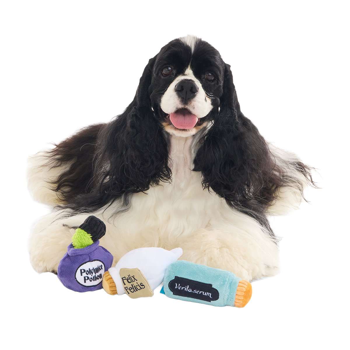 Potions Class Pack™ Plush Multi-Part Dog Toy - Image 4