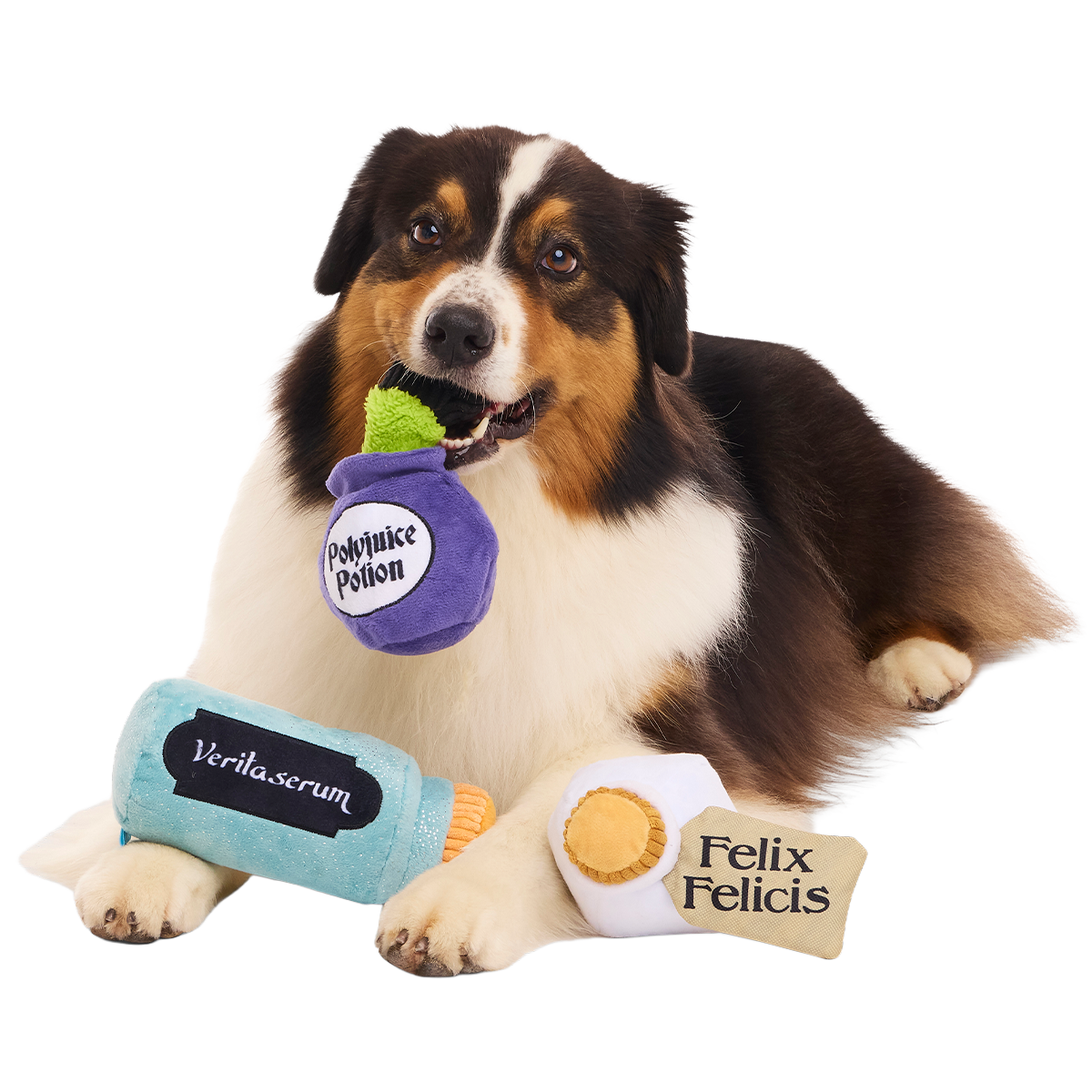 Potions Class Pack™ Plush Multi-Part Dog Toy - Image 6