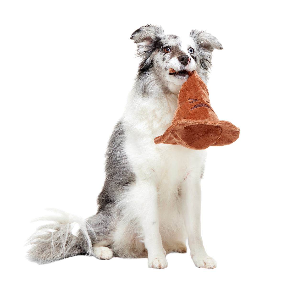 The Sorting Hat™ Plush 2-in-1 + Fetch Dog Toy - Image 12