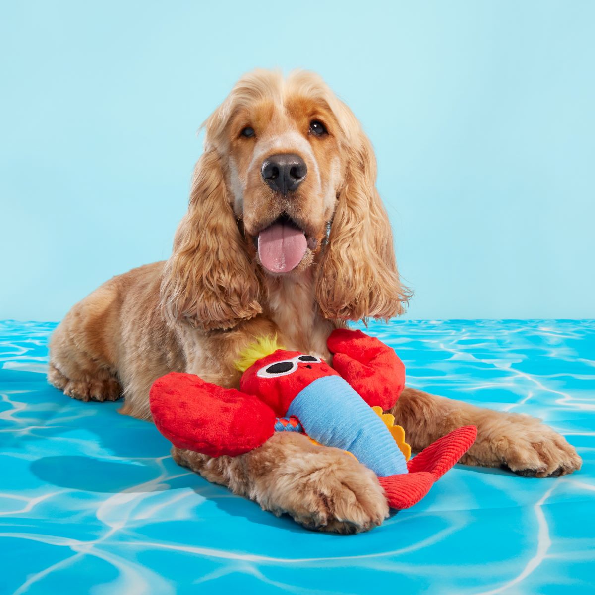 Brock Lobster Plush Tug Dog Toy - Image 3