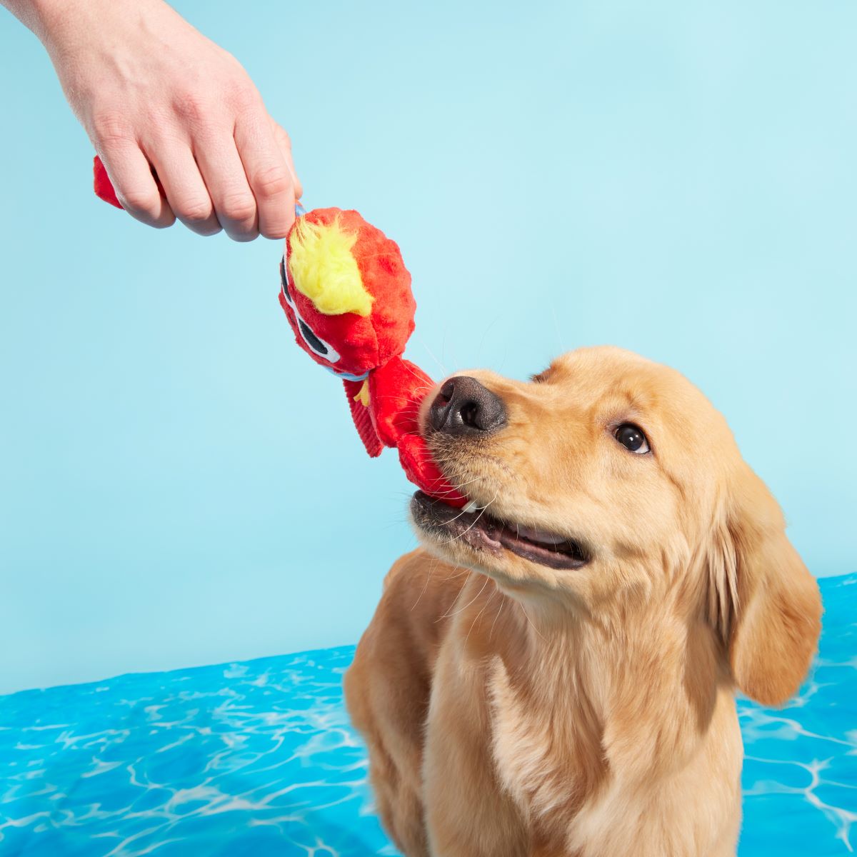 Brock Lobster Plush Tug Dog Toy - Image 2