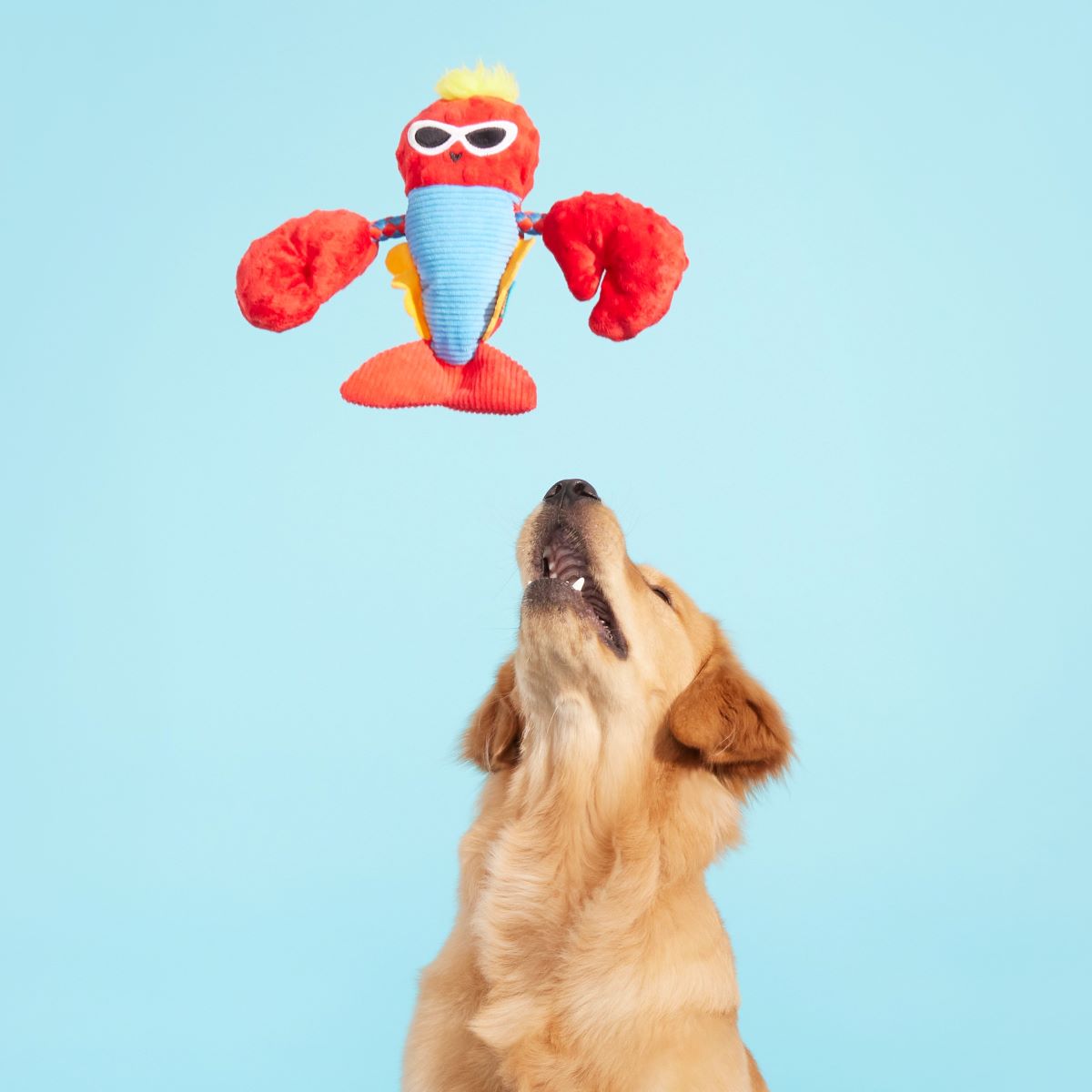 Brock Lobster Plush Tug Dog Toy - Image 4