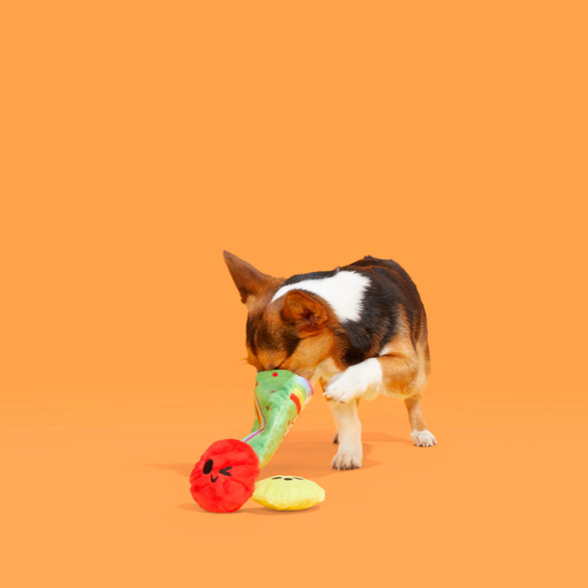 Scooties Candy Plush Multi-Part + Enrichment Dog Toy - Image 3