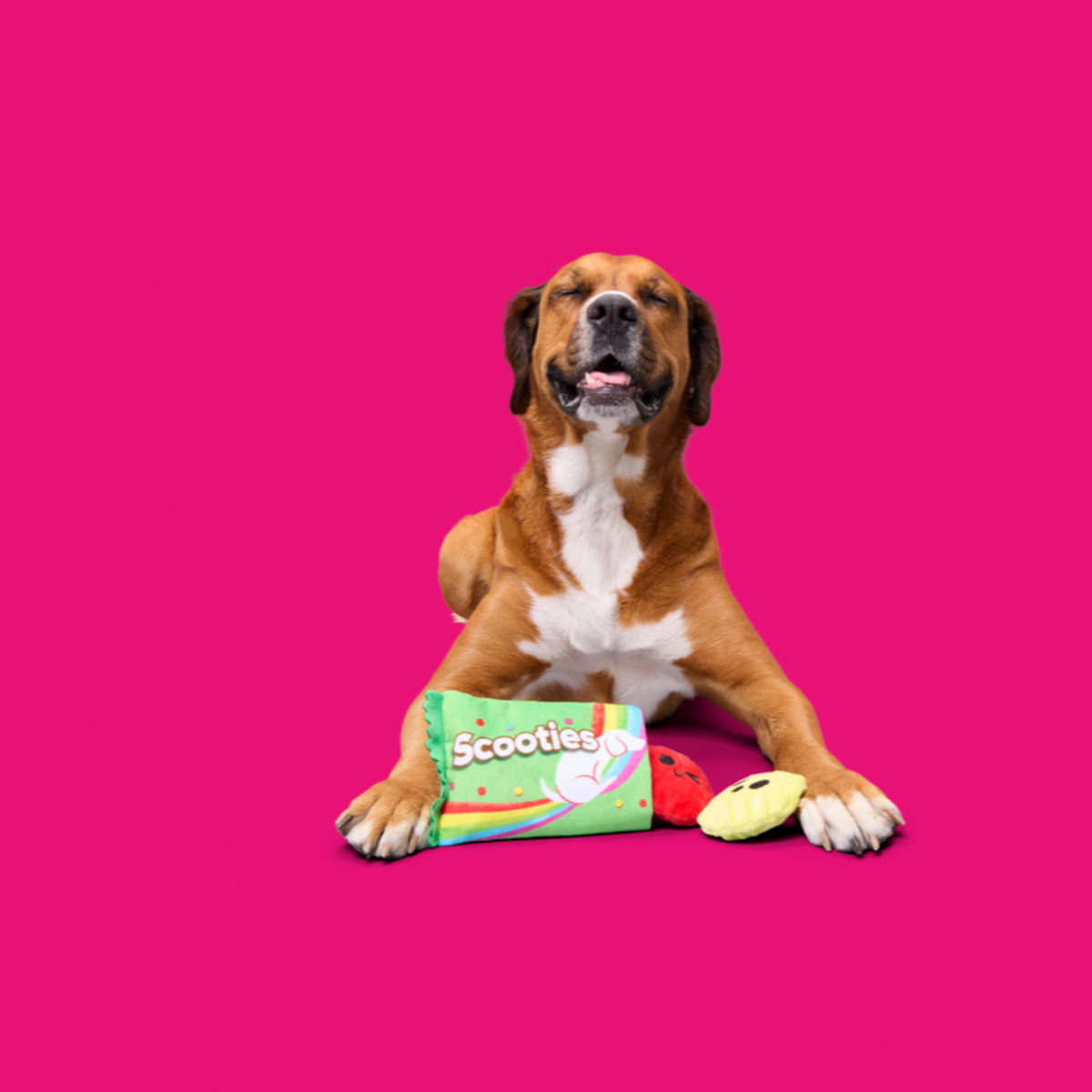Scooties Candy Plush Multi-Part + Enrichment Dog Toy - Image 4