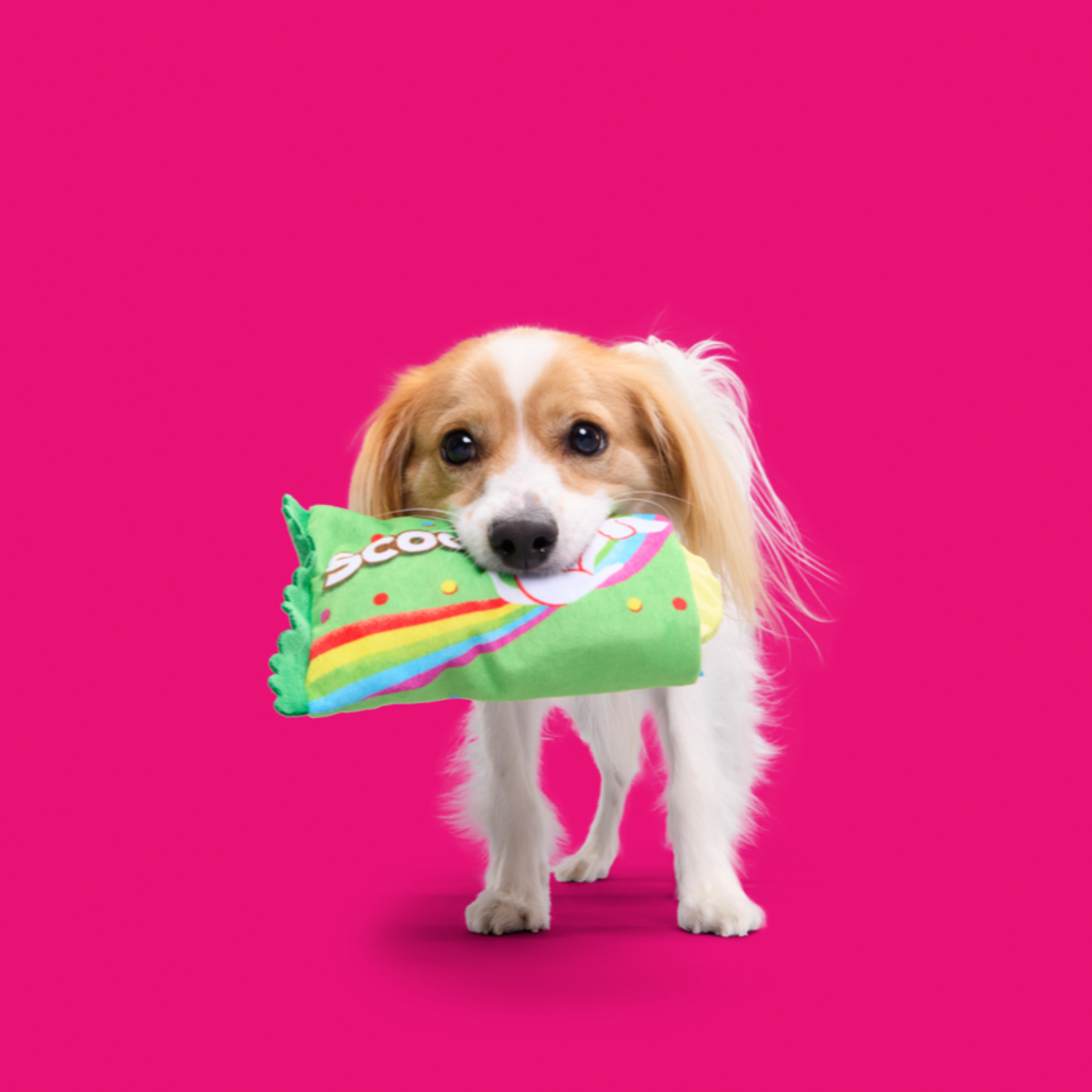 Scooties Candy Plush Multi-Part + Enrichment Dog Toy - Image 5