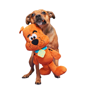 Scooby-Dooby-Doo™ Plush Extra-Large Tug Dog Toy