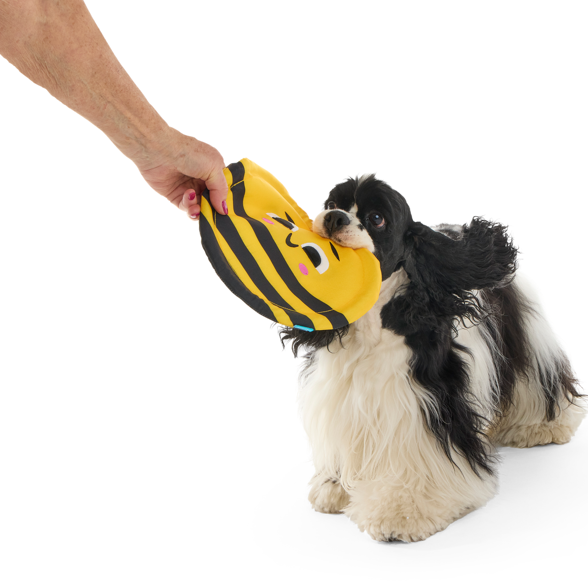 Fritz Bee Plush Fetch Dog Toy - Image 6