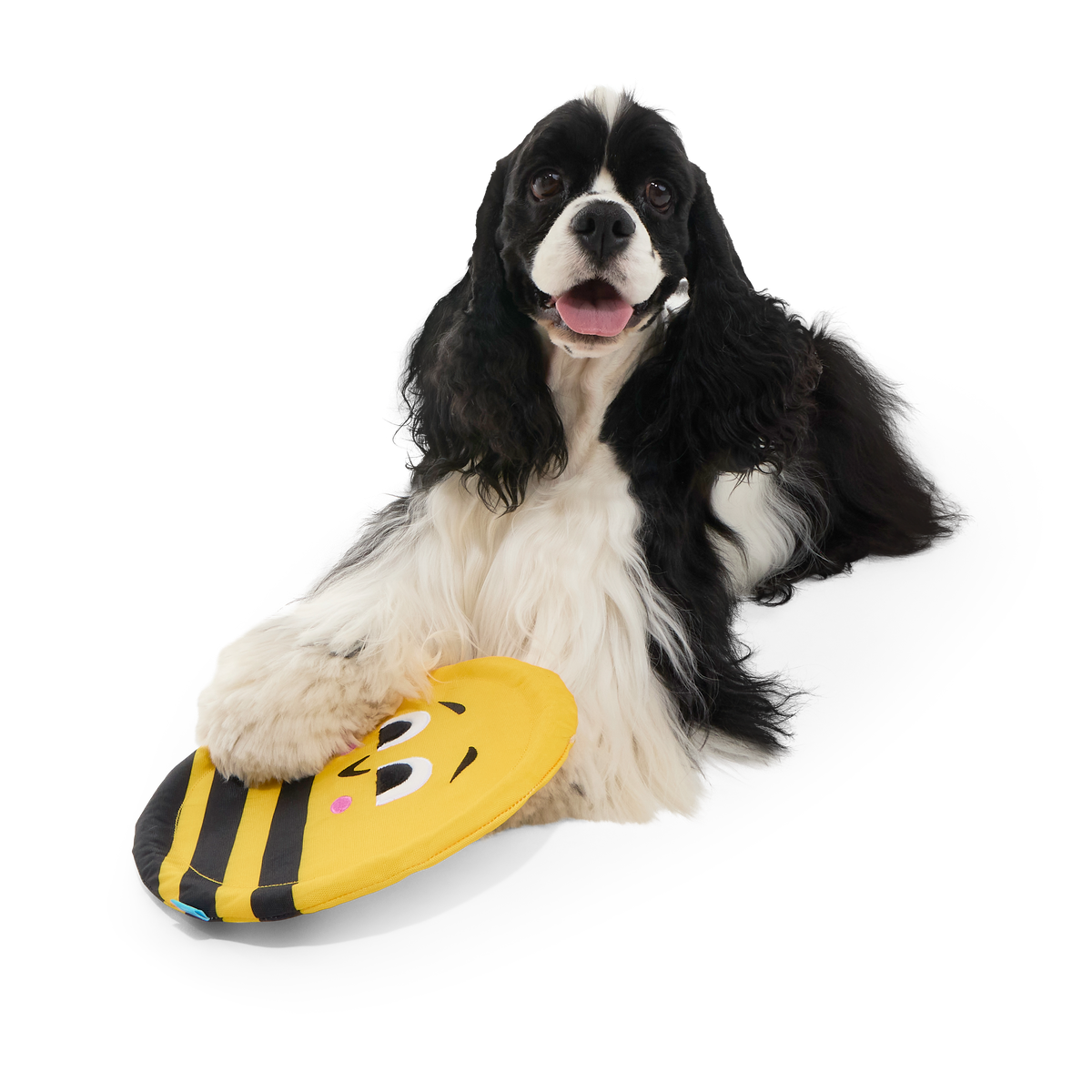 Fritz Bee Plush Fetch Dog Toy - Image 5
