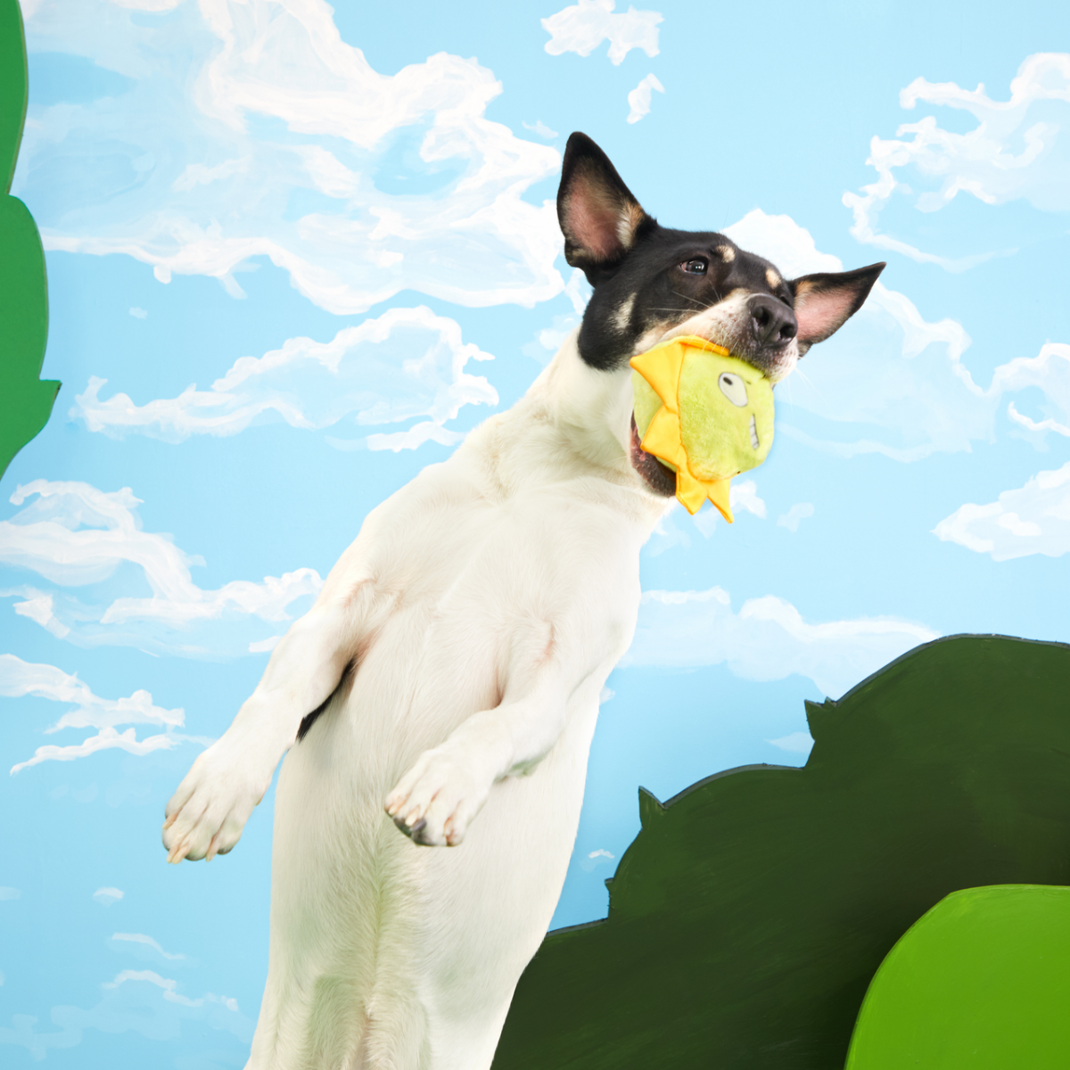 Sunny Boy Plush Fetch Dog Toy - Image 3