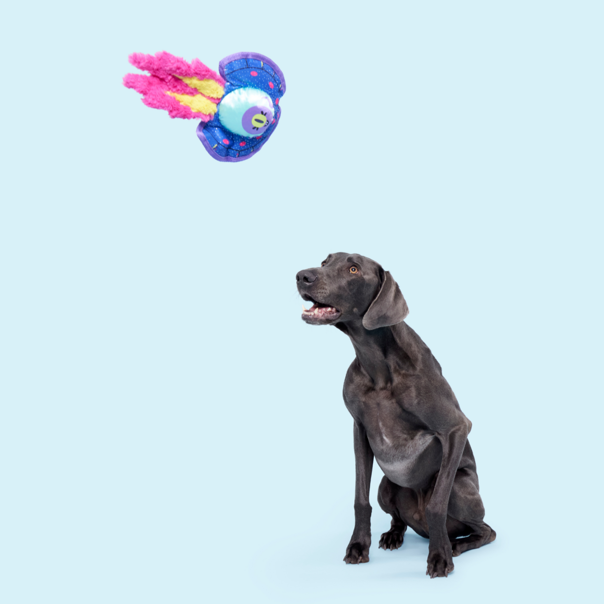 Blast Arf! Plush Tug Dog Toy - Image 5