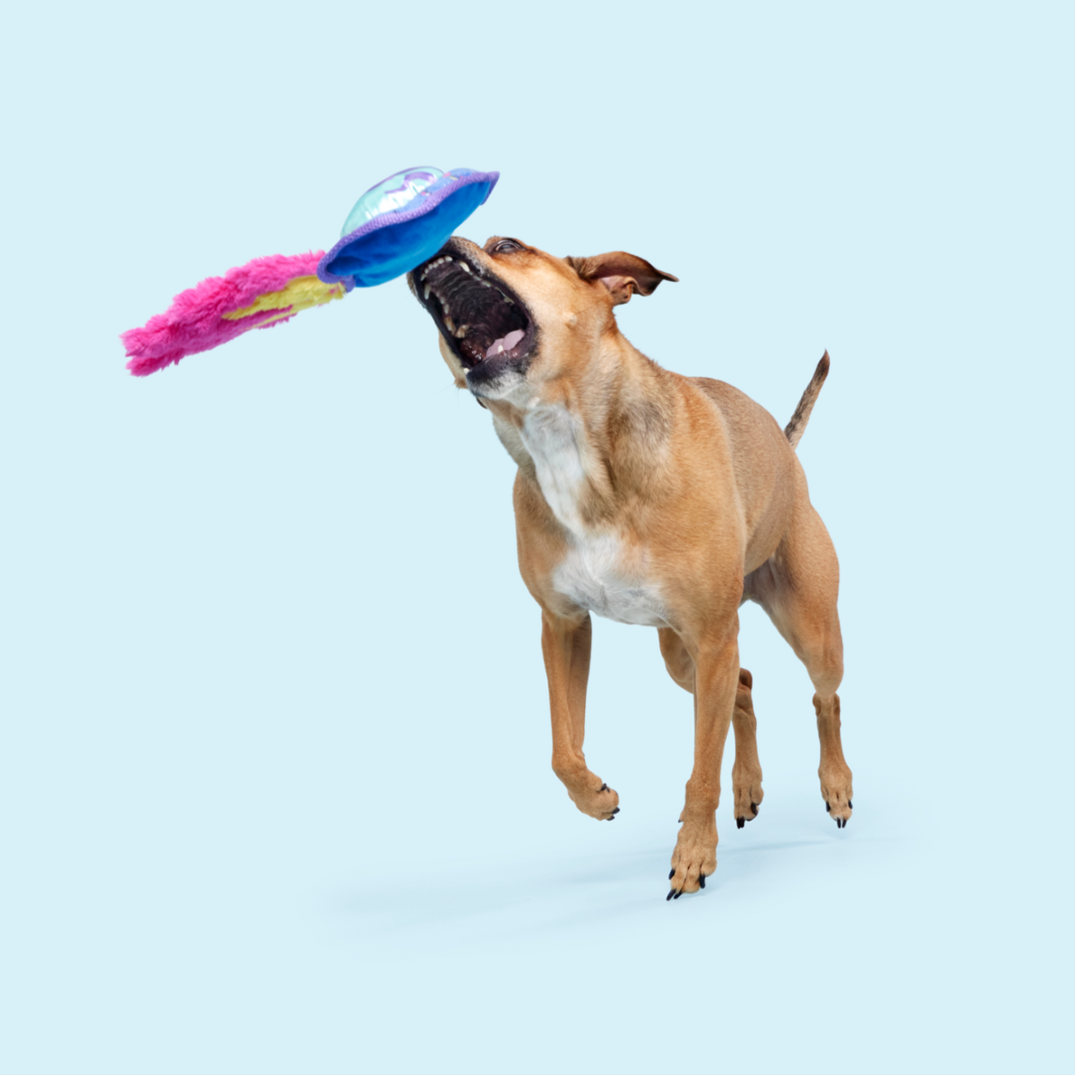 Blast Arf! Plush Tug Dog Toy - Image 6